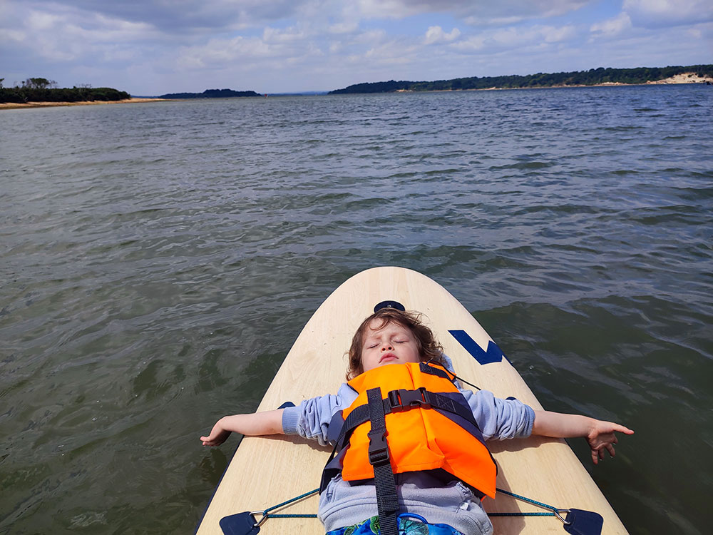 1 out of 52, Season 5