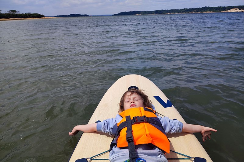 1 out of 52, Season 5