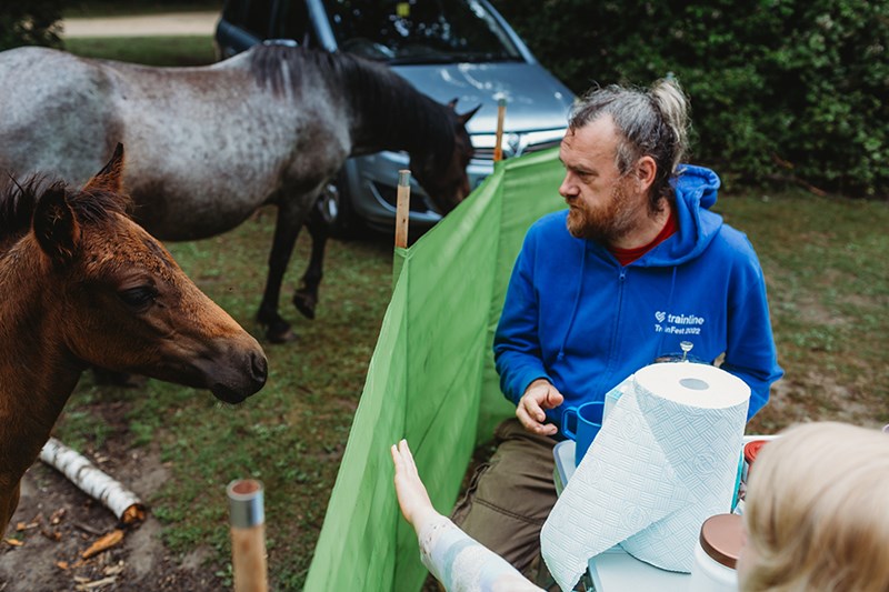 2 out of 52, Season 5