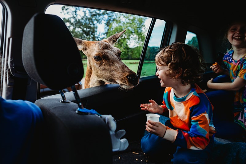 11 out of 52, Season 5