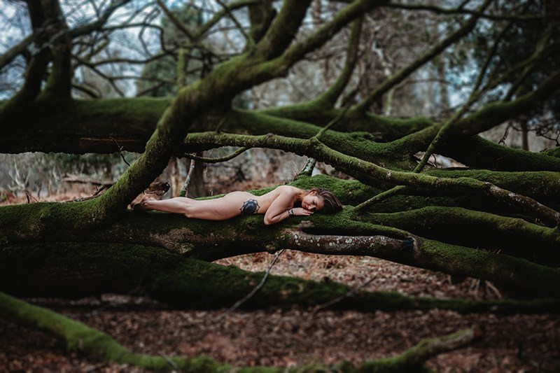 Nature as our temple~New Forest portrait & branding photographer